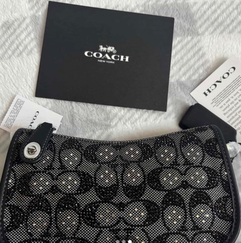 CCH purse
